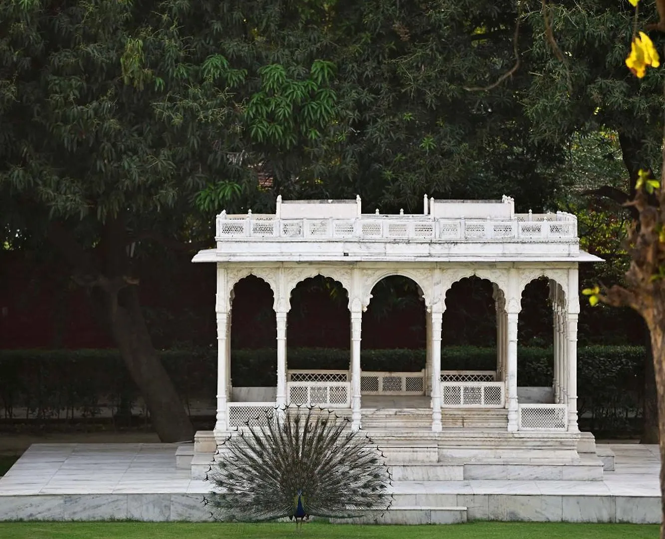 Taj Nadesar Palace Varanasi